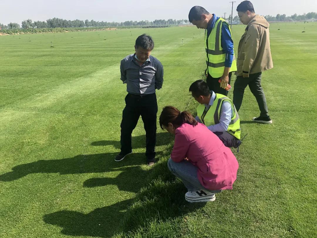 渭南建设专业足球场,渭南体育中心足球场