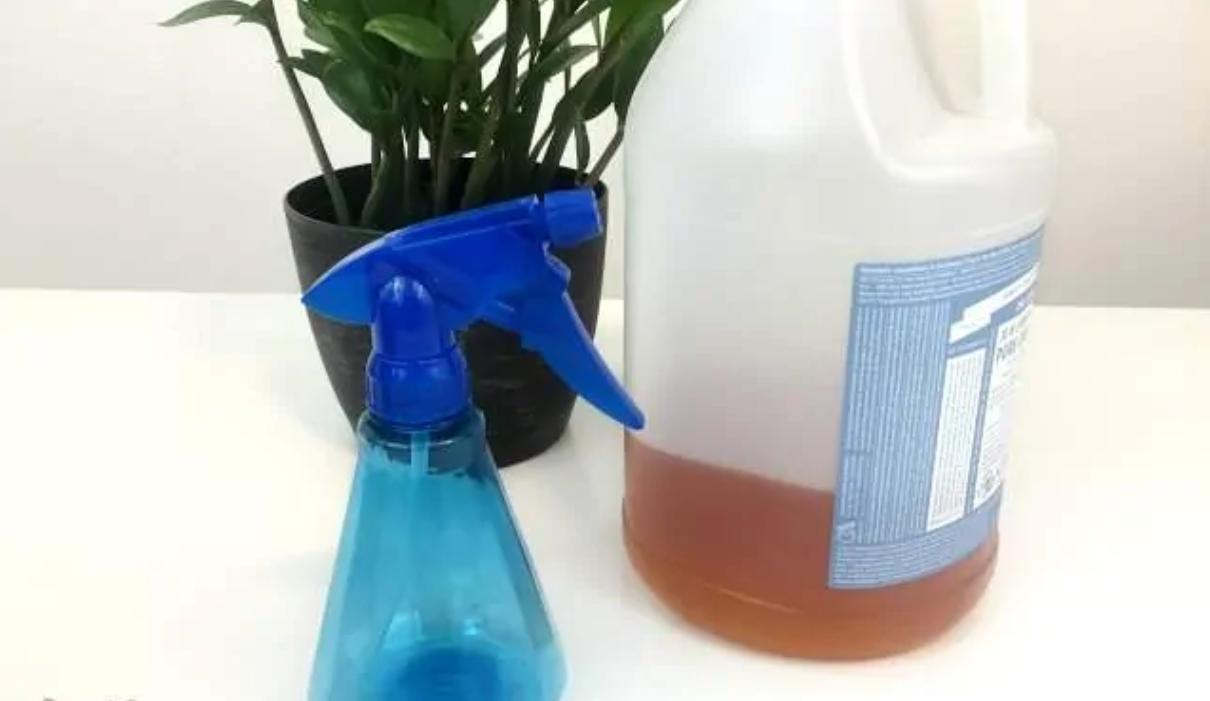 室内植物病虫害的防治方法有哪些,植物防治害虫最好的药