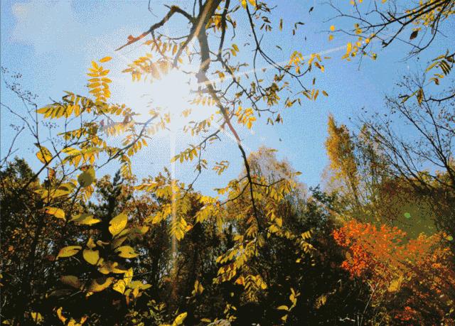 这个秋季,度假就选韶关,美轮美奂,山美水美人更美