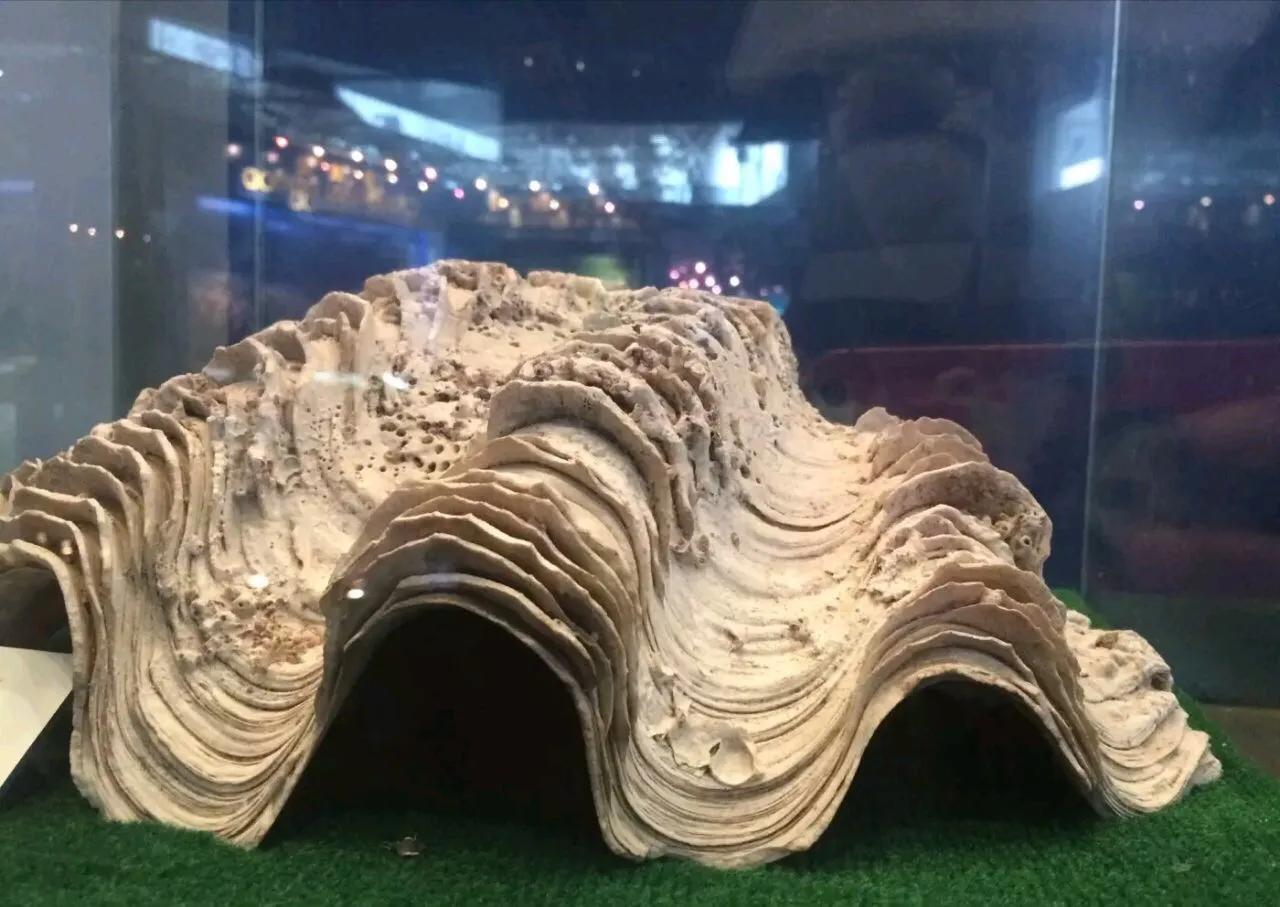 暑假去深圳哪个景点更好玩,暑假带孩子深圳必去的地方