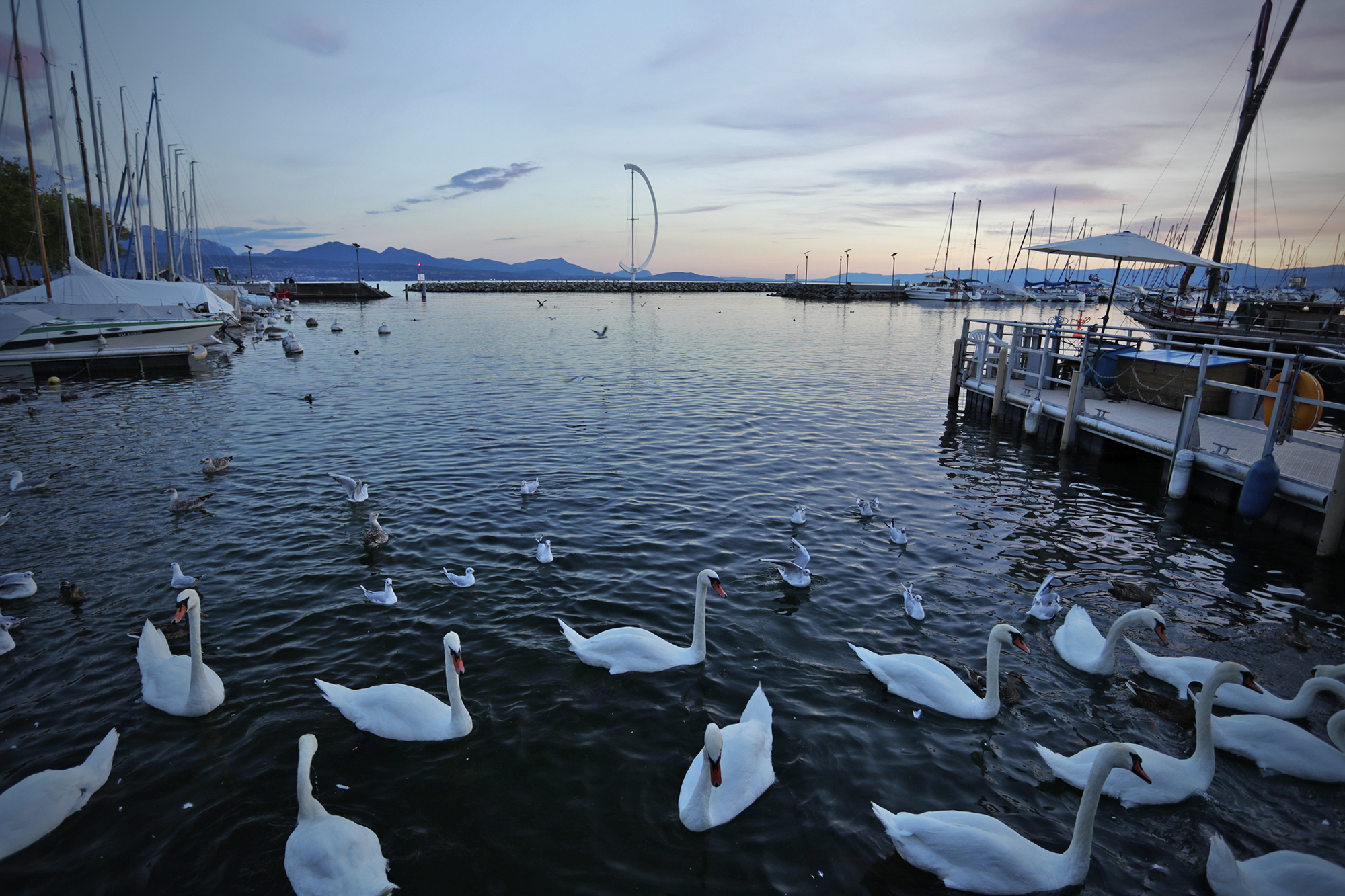 佳能eos1dxmarkiii价格,与佳能1dxmarkii同级别eosr系列