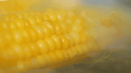 派乐优选丨夏天减肥还节什么食，多吃点玉米不好吗？