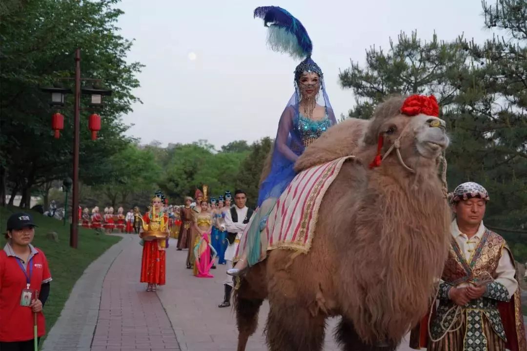 不出西安一日游必去免费景点,不出西安五一值得去的地方