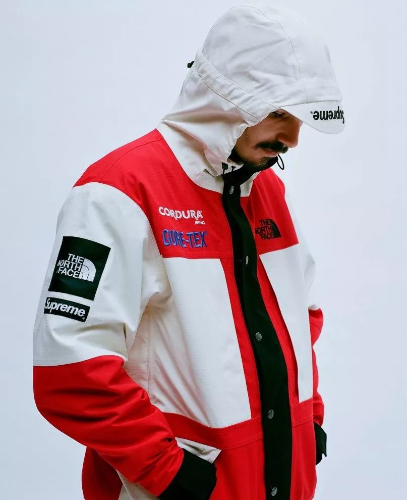 thenorthface真假辨别,thenorthface哪个好看