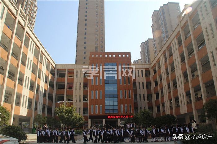 实探城际小学！东城区已招生投用学校