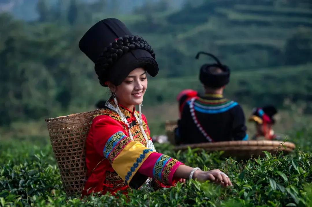 【起床号】4月29日，早安！歌曲《赶圩归来啊哩哩》