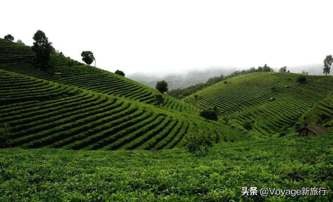 五家顶级野奢度假酒店,中国风海滨度假酒店