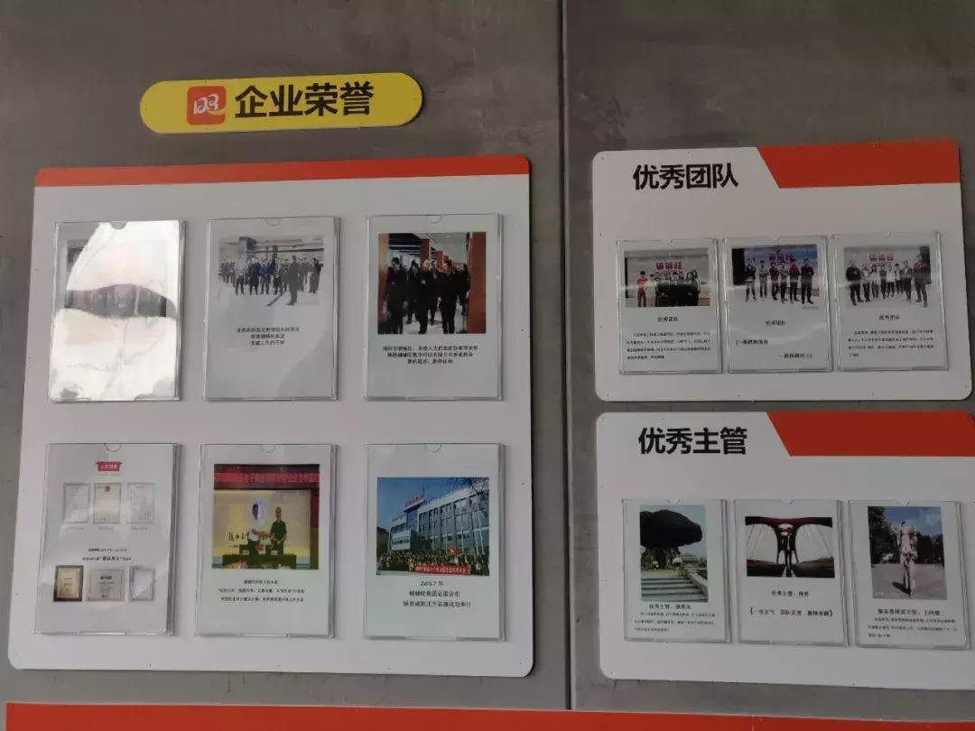 铺铺旺武汉分公司,铺铺旺西安分公司