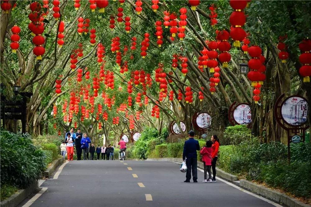 郑州春节周边景区免费景点大全,春节赏花的好去处