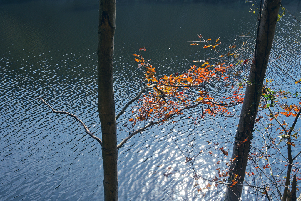 清凉寨美景,世界著名金秋山水风景油画