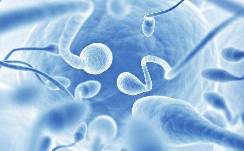 怀孕这件大事,怀孕这个事容易么