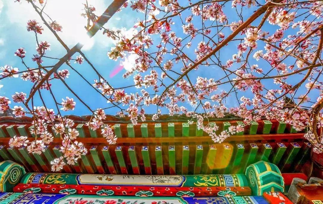 杨柳青最新消息今天,天津西青区杨柳青镇今天最新情况