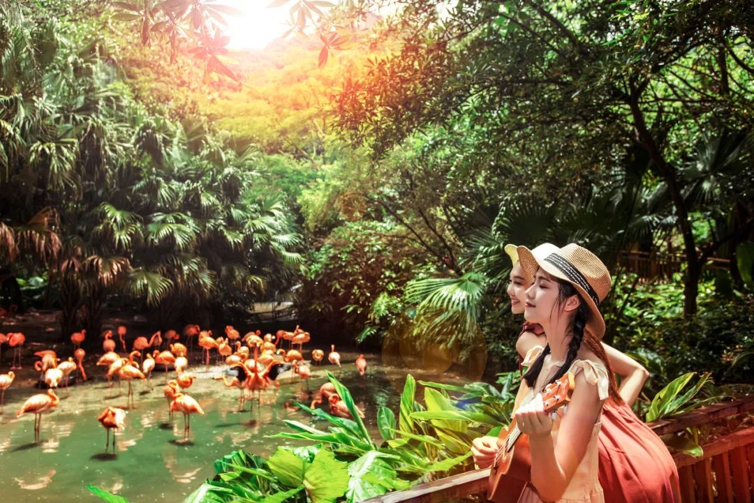 深圳东部华侨城值得玩吗,深圳华侨城生活感受