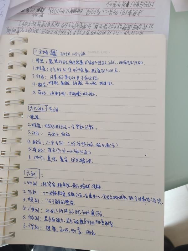 南宁18人涉传被抓,南宁卖猪肉被抓