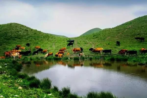 黔东南春节游玩推荐,隐藏在黔东南的世外桃源