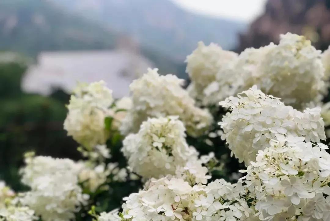 怀柔五一青龙峡最新攻略,打卡青龙峡景区