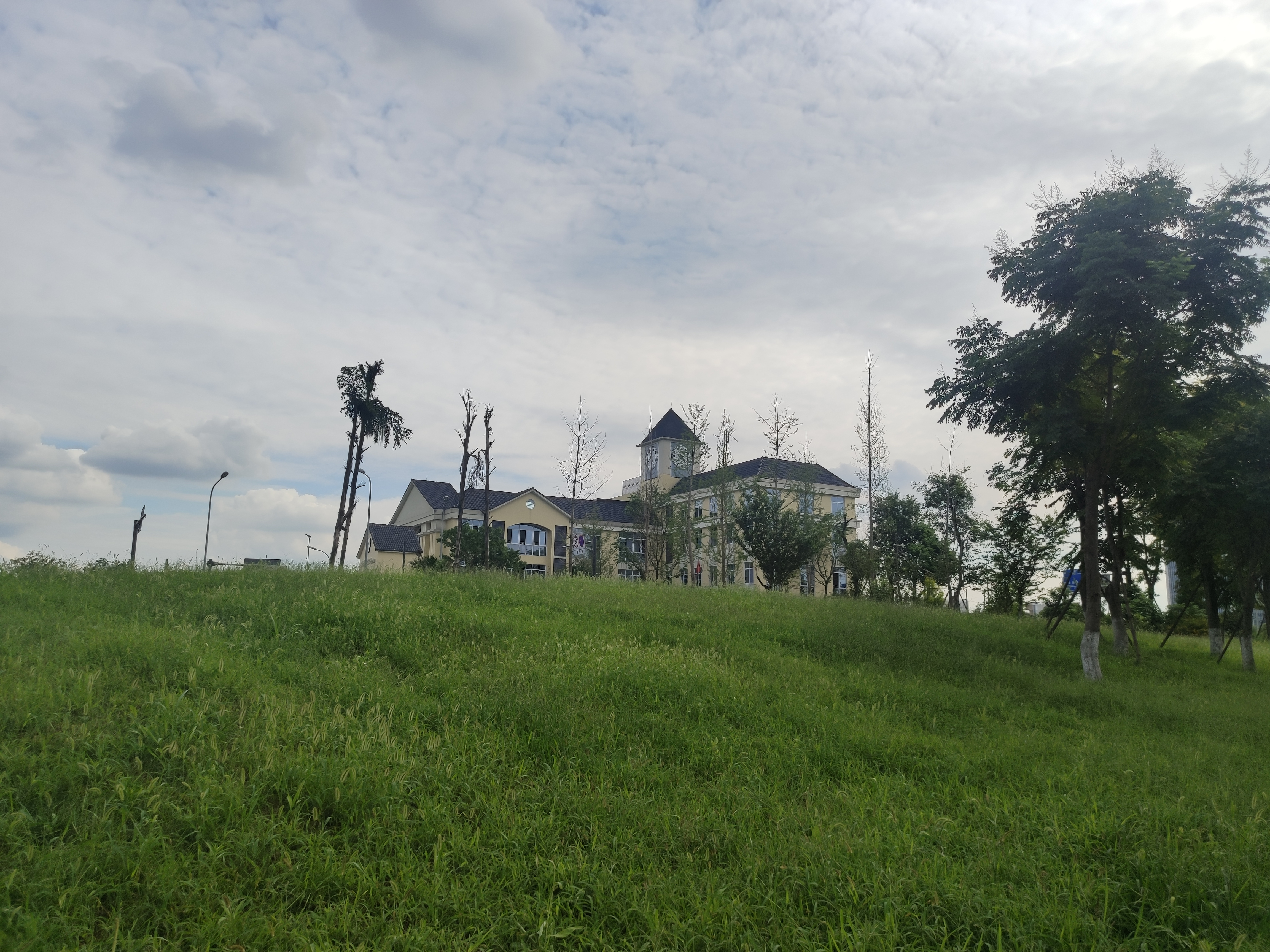 新都斑竹园今后发展怎么样,新都区斑竹园在哪里