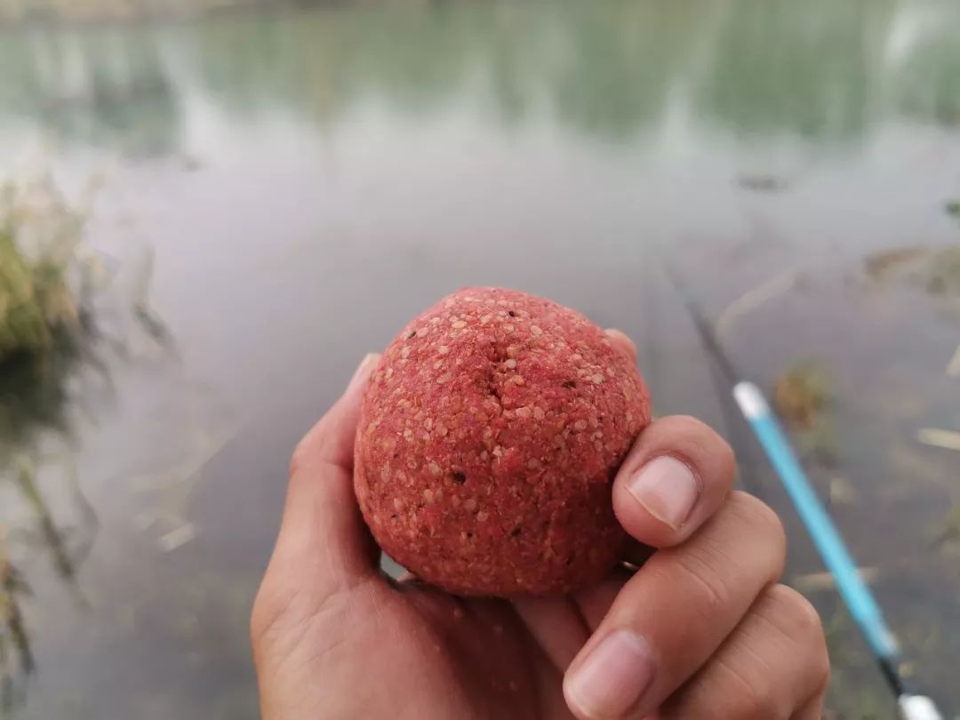 小鱼老往水面上跑怎么办,钓鱼怎么解决挡口问题