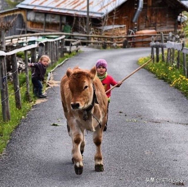 旅游风景视频阿尔卑斯山,旅游风光阿尔卑斯山脉
