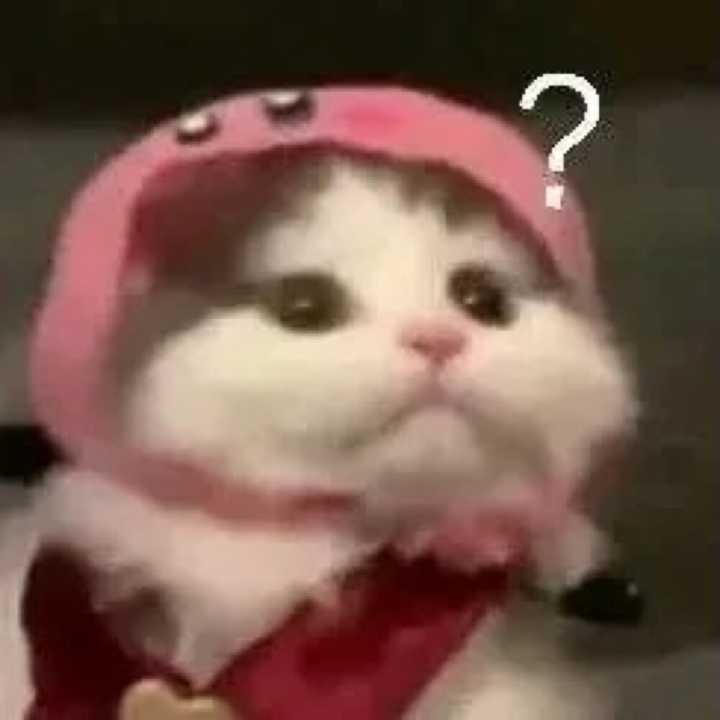 稳居文案,适合发朋友圈的憨憨文案