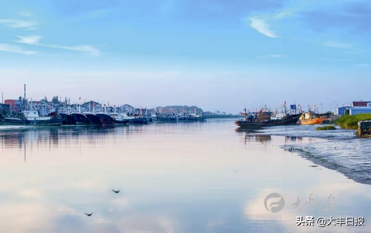 盐城射阳全面加速乡村振兴步伐,盐城聚焦乡村振兴