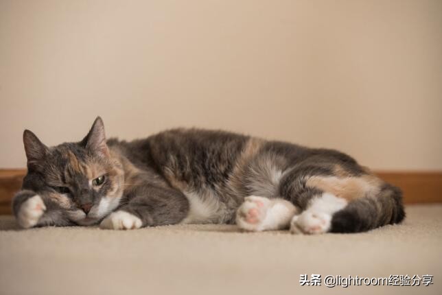 摄影时的光线是如何拍出来的,各种光线条件下的摄影技巧