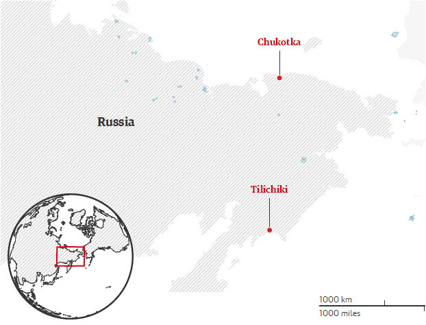 饥饿北极熊打猎视频,饥饿北极熊