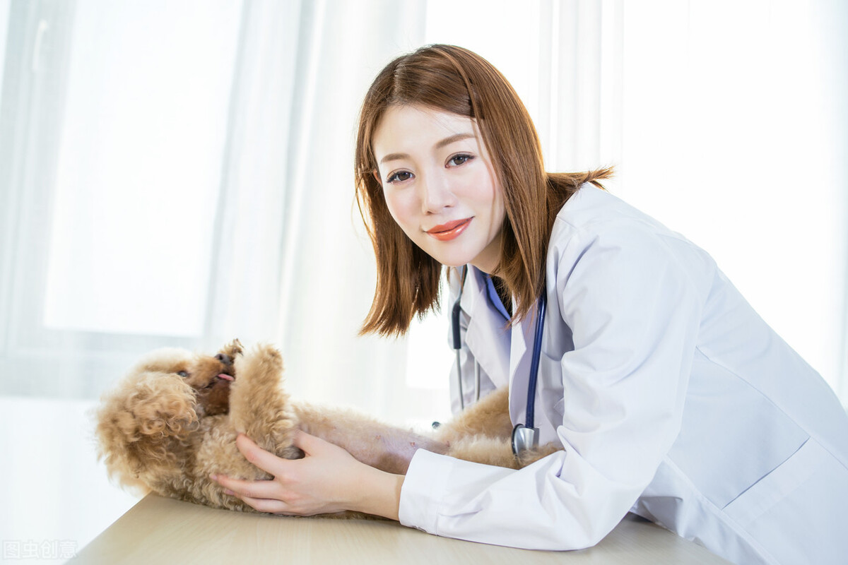 狗狗得了疱疹病毒什么症状,宠物犬冠状病毒感染怎么治疗