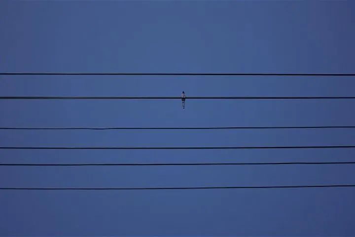 黄油相机超好看的滤镜,蓝调滤镜黄油相机