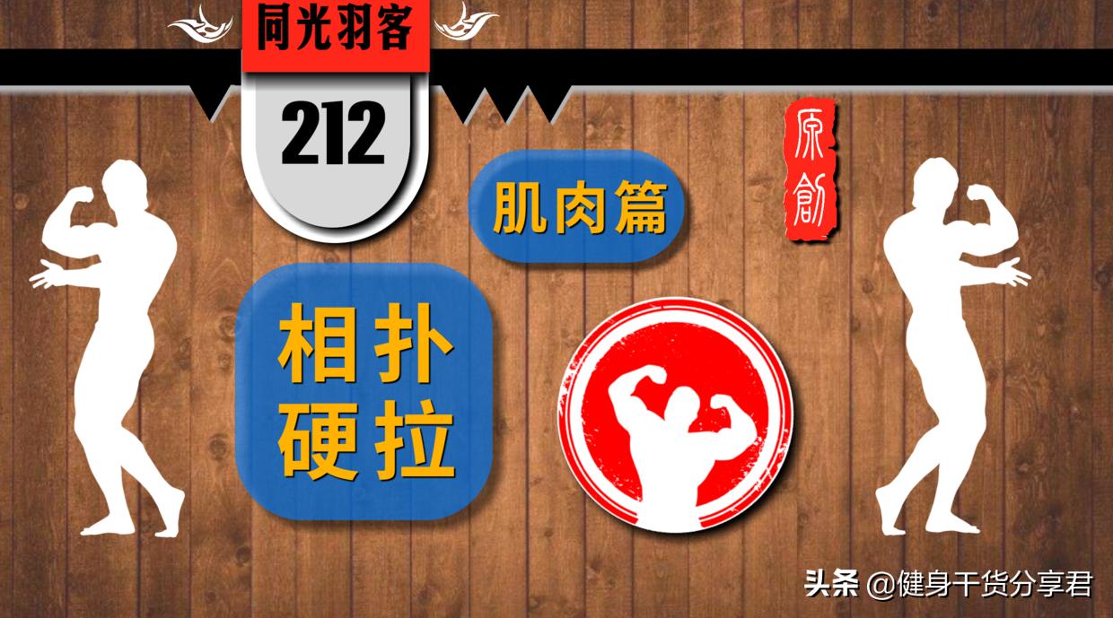 相扑硬拉,最全攻略,(上)篇