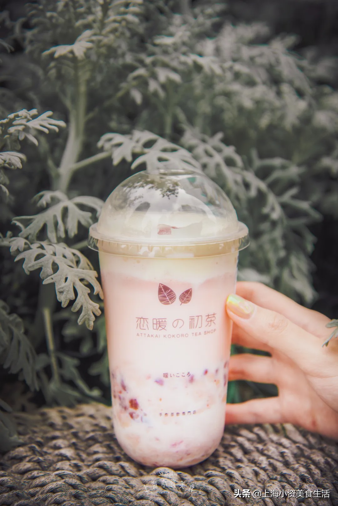 奶茶网红牛乳茶,奶茶各种网红饮品