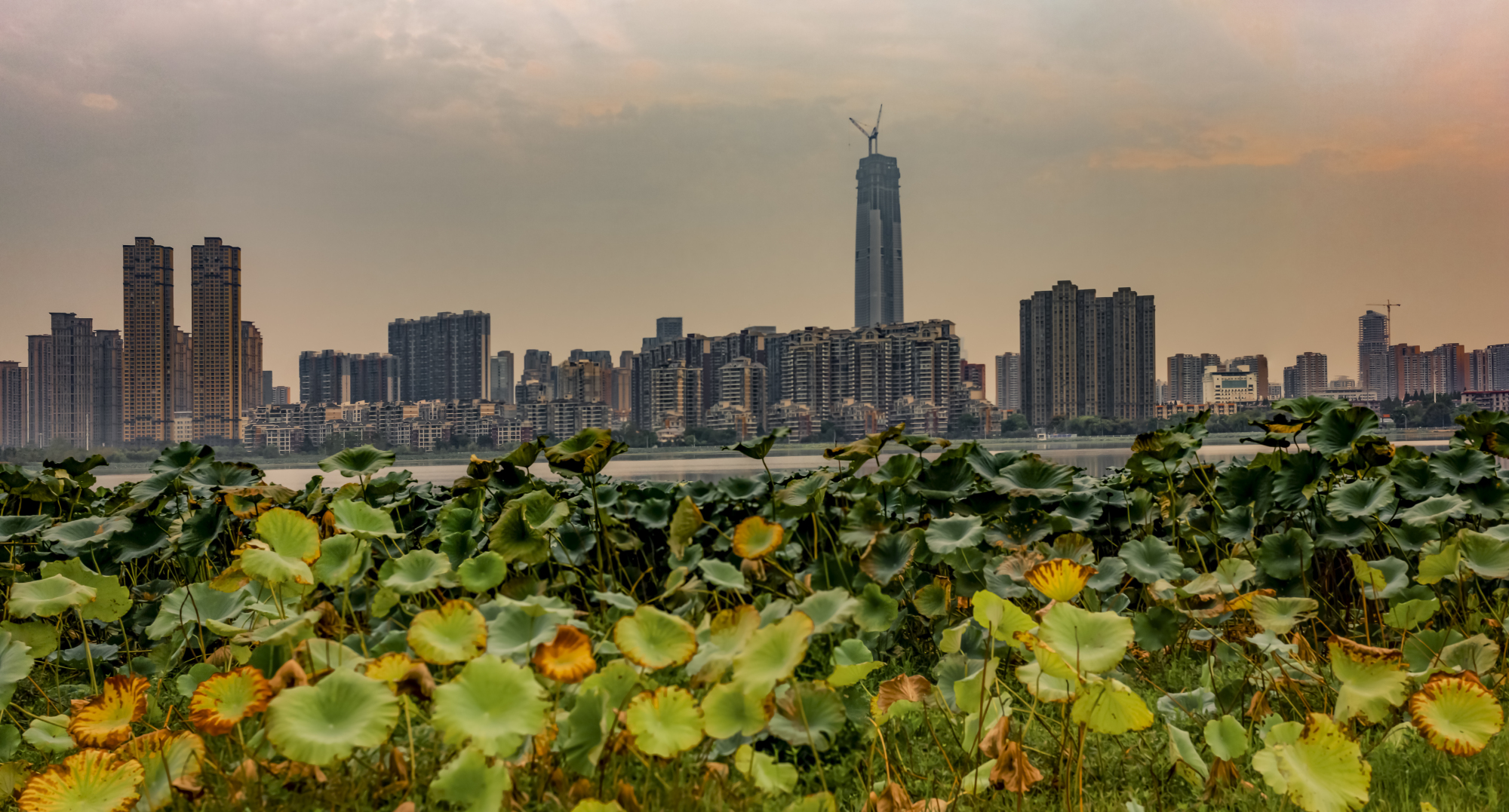 电影反哺摄影——老北京拍湖北大学（二）