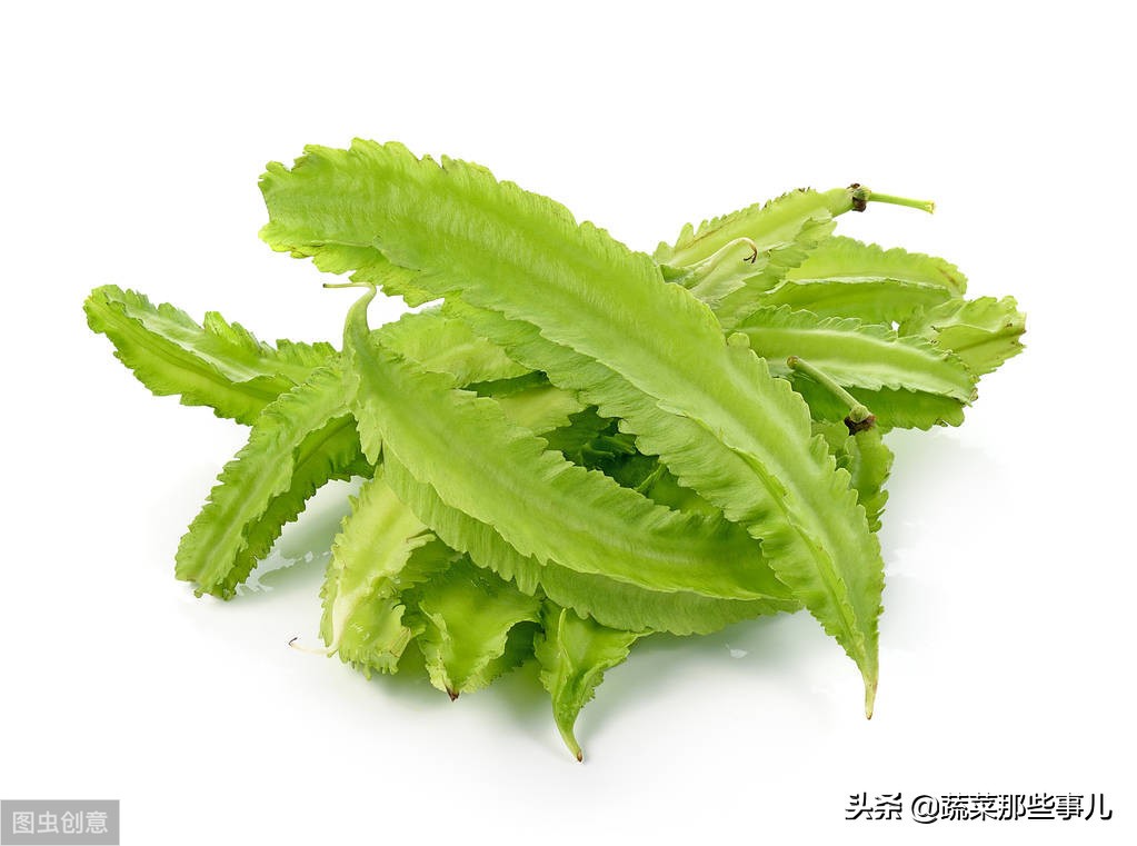 豆角用的是四季豆还是扁豆,豇豆四季豆扁豆区别