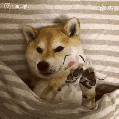 2014最好用的面膜排行榜前十名,2021面膜排行榜前十名有哪些品牌