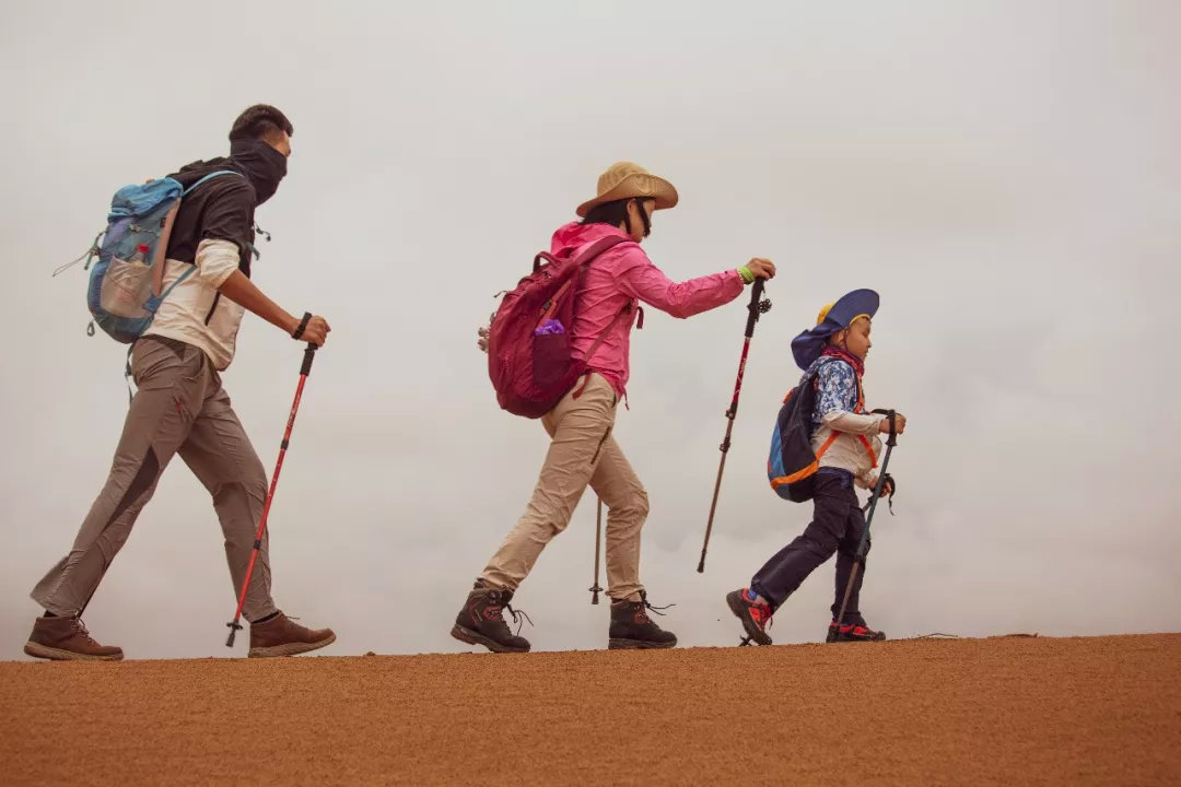 沙漠新手训练营,沙漠早期教育亲子课程