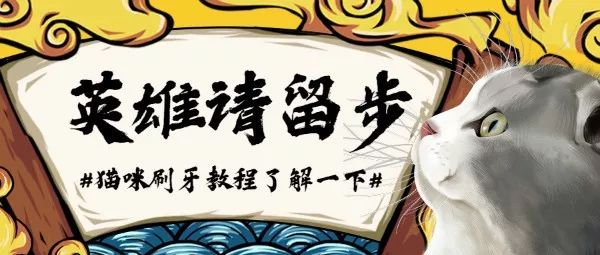 猫咪刷牙怎么做,猫咪刷牙正确教程