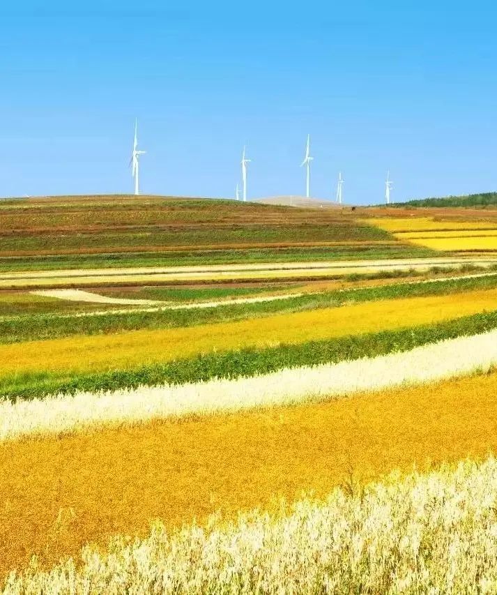 中国天路震撼视频,中国十大惊艳的天路