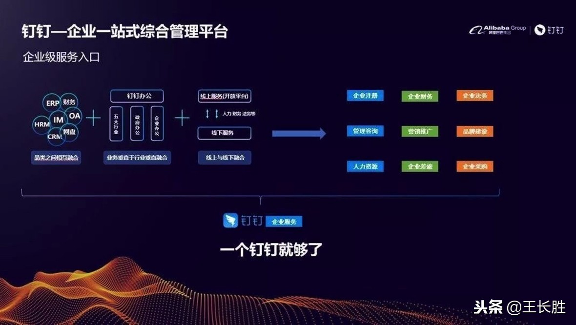 钉钉信息科技,钉钉观察