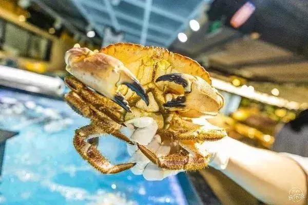 马爸爸的盒马鲜生,盒马鲜生和生鲜超市