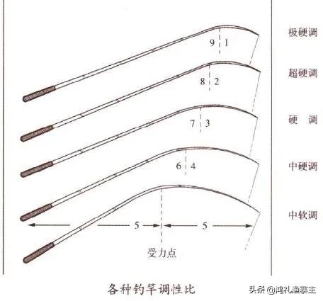 如何选择好坏的鱼竿钓鱼,新手钓鱼如何选鱼竿