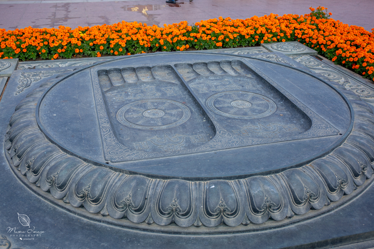 无锡灵山大佛抱佛脚视频,无锡灵山抱佛脚排队多久