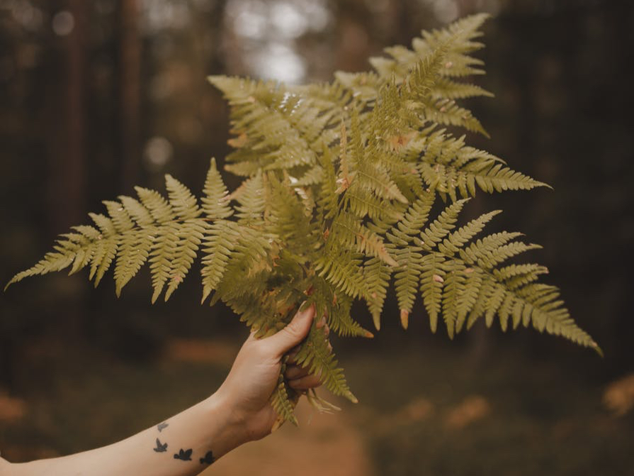 “下次用手机转账，你少回来”母亲一句话，女人后悔嫁了穷小子