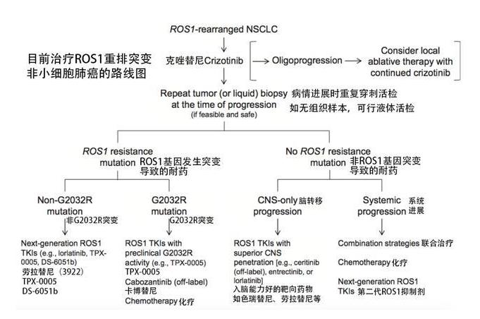 ros1基因融合治疗肺癌,ros1融合型肺癌