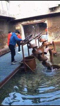 喜欢很久的小哥哥,喜欢了很久的小哥哥