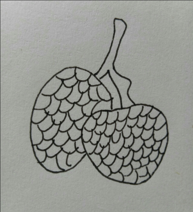 画食物甜品和水果零食简笔画,简笔画儿童3-6岁简单水果