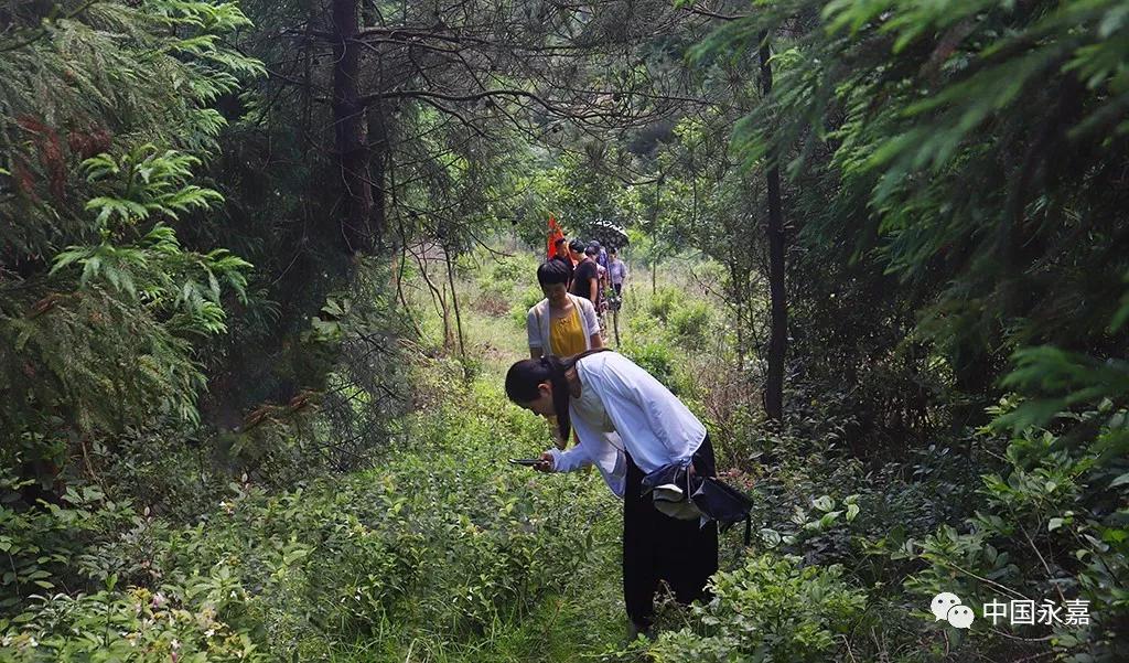 温州永嘉最高山峰,楠溪江最高的景区