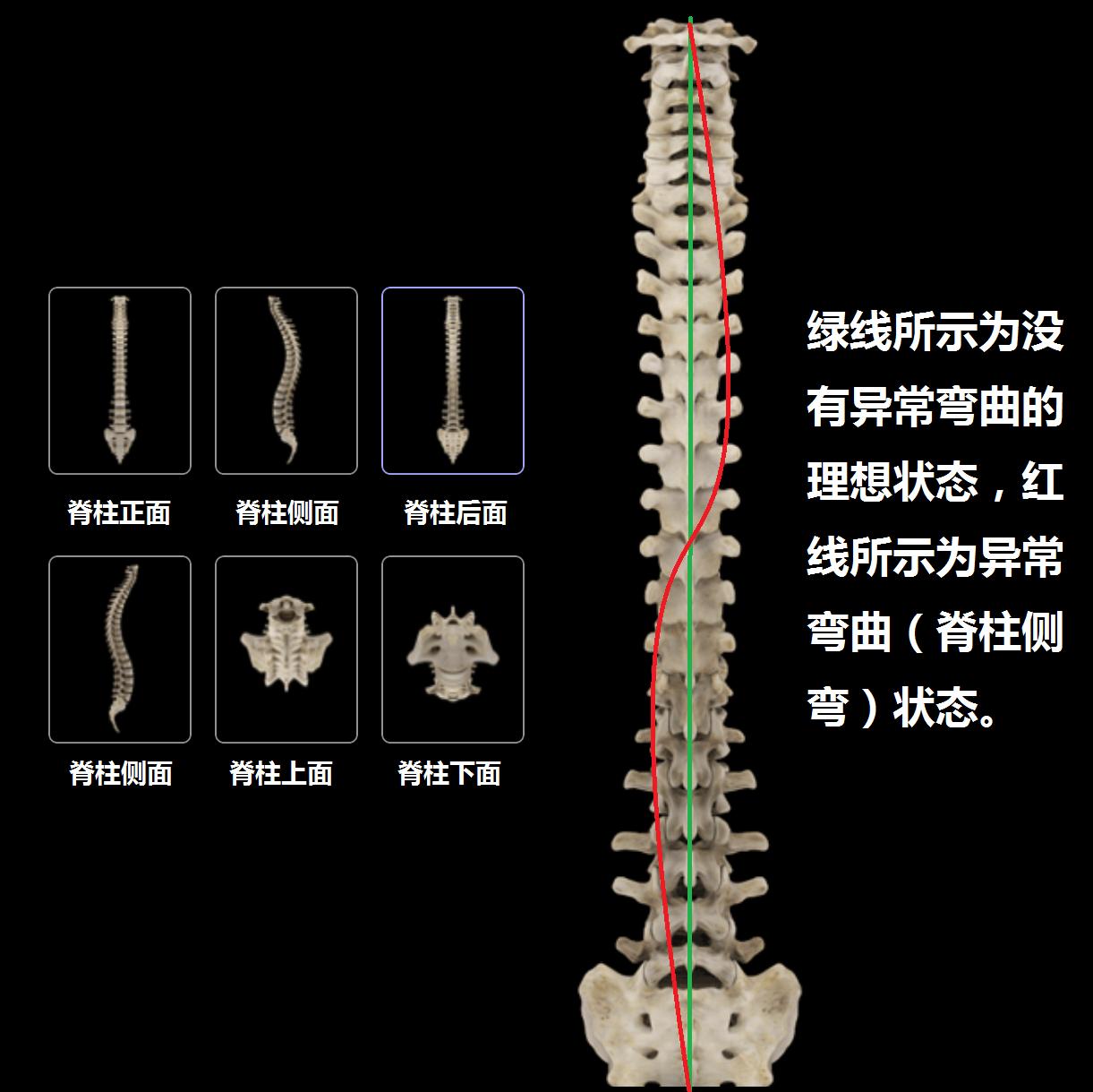 介绍一下治腰痛小窍门,不同腰痛的诊断与治疗