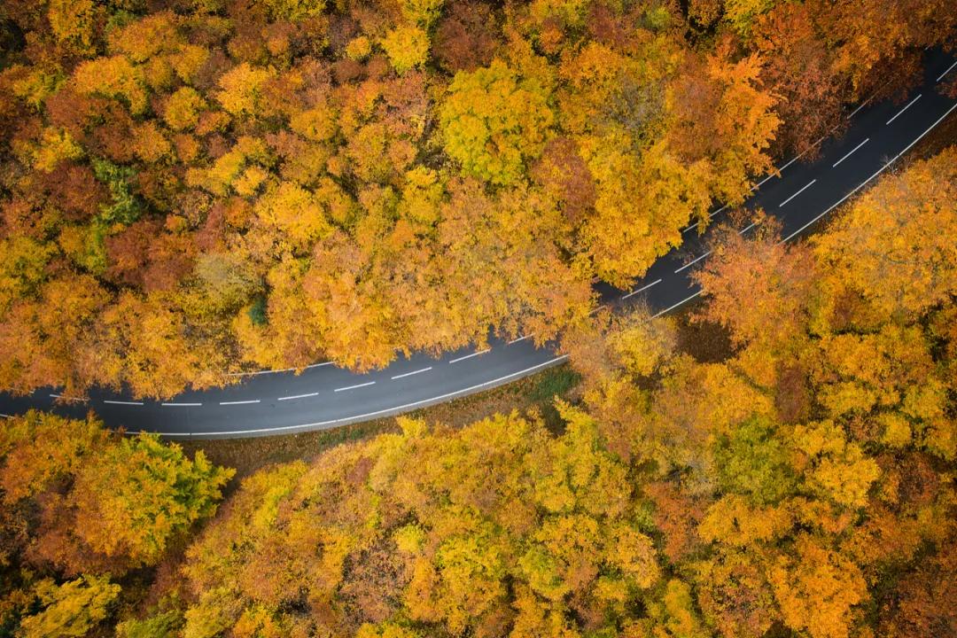 今日秋分|微凉秋雨浸润宛城