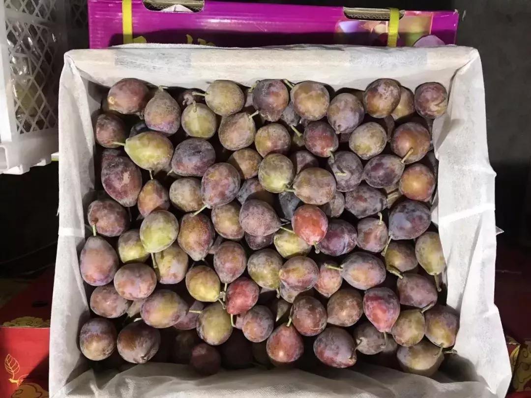 进口水果贵的原因在哪里,进口水果有哪些猫腻