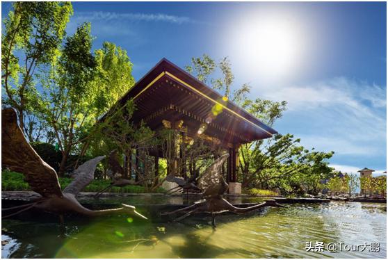 爱了！恒大“最美社区”遇见最美的春天